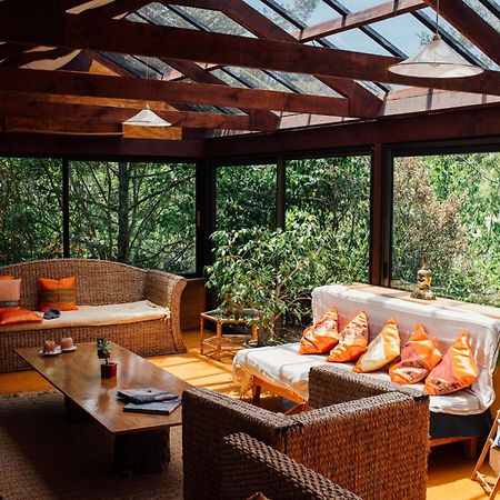 מלון אוקלנד Kawai Purapura Yoga Retreat Centre מראה חיצוני תמונה
