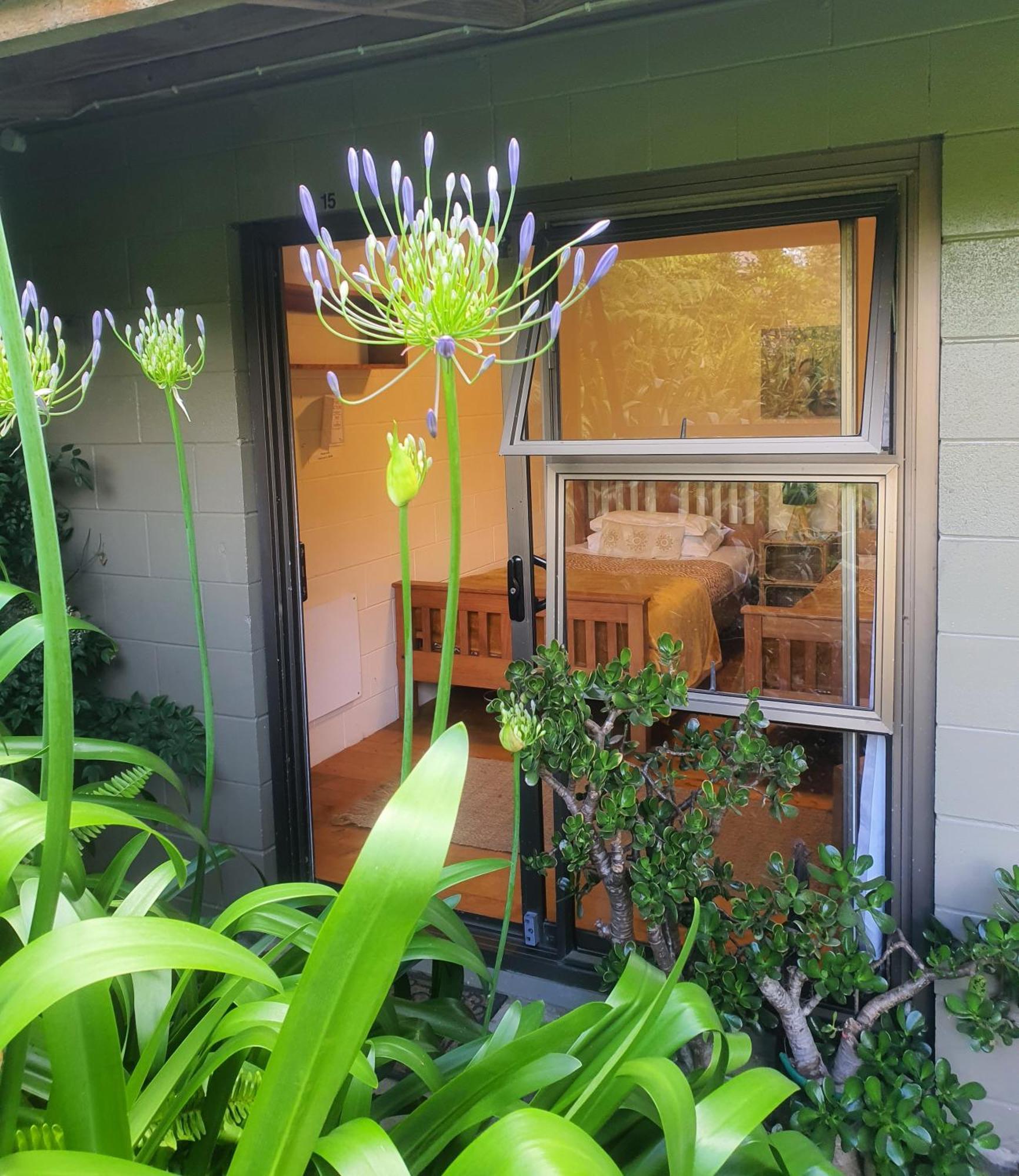 מלון אוקלנד Kawai Purapura Yoga Retreat Centre מראה חיצוני תמונה