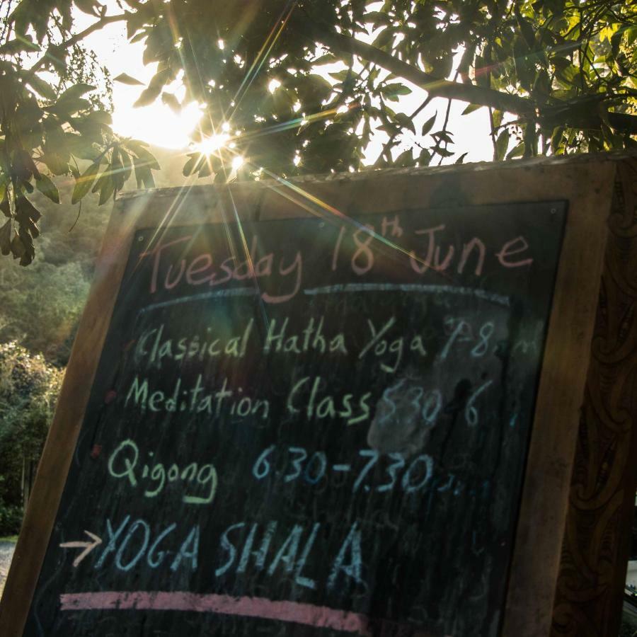 מלון אוקלנד Kawai Purapura Yoga Retreat Centre מראה חיצוני תמונה