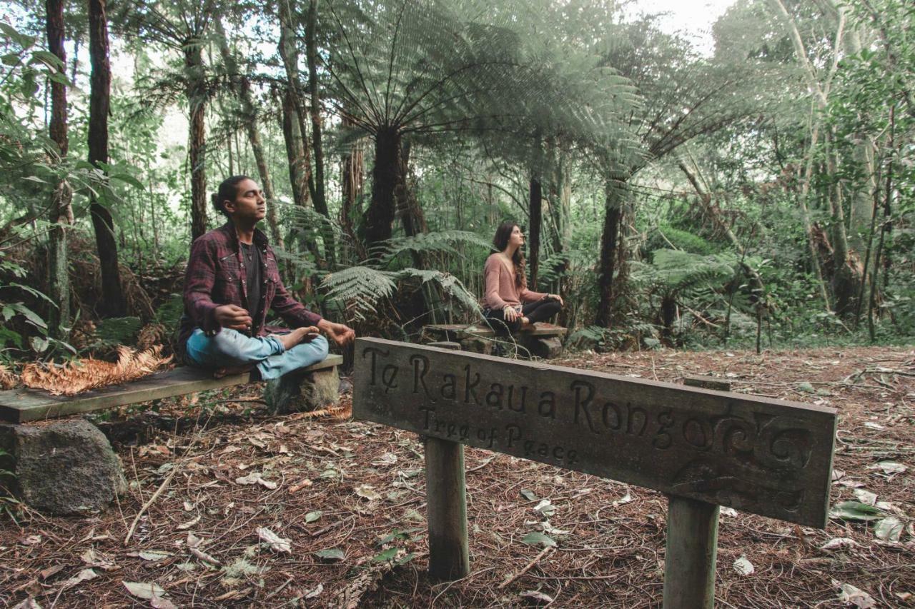 מלון אוקלנד Kawai Purapura Yoga Retreat Centre מראה חיצוני תמונה