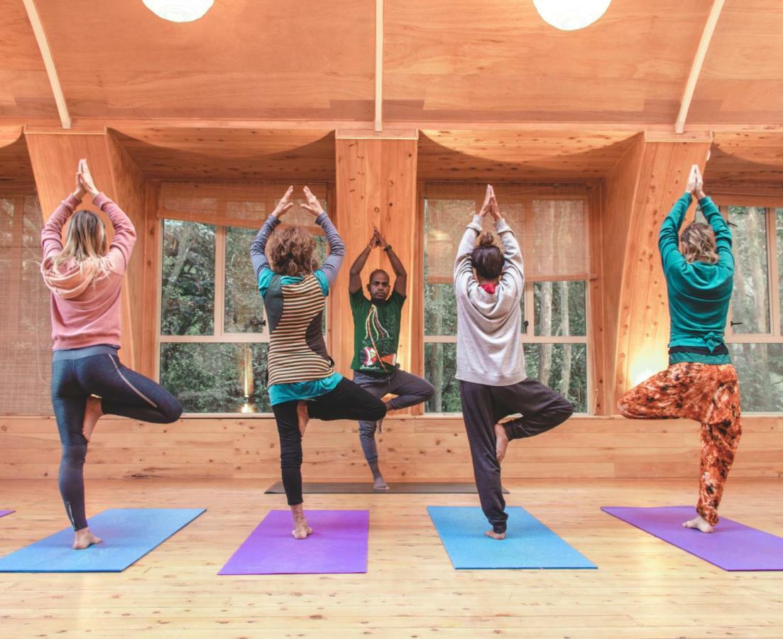 מלון אוקלנד Kawai Purapura Yoga Retreat Centre מראה חיצוני תמונה