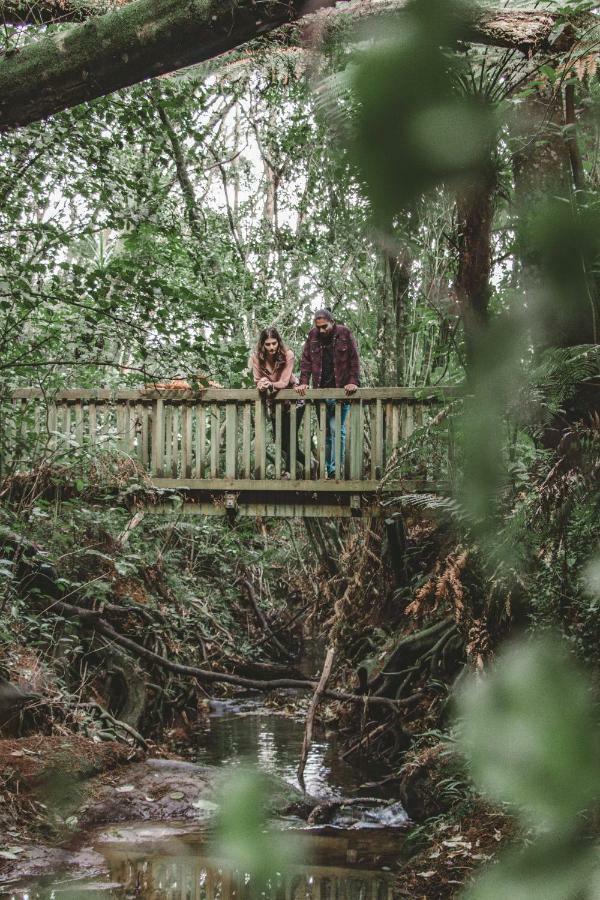 מלון אוקלנד Kawai Purapura Yoga Retreat Centre מראה חיצוני תמונה