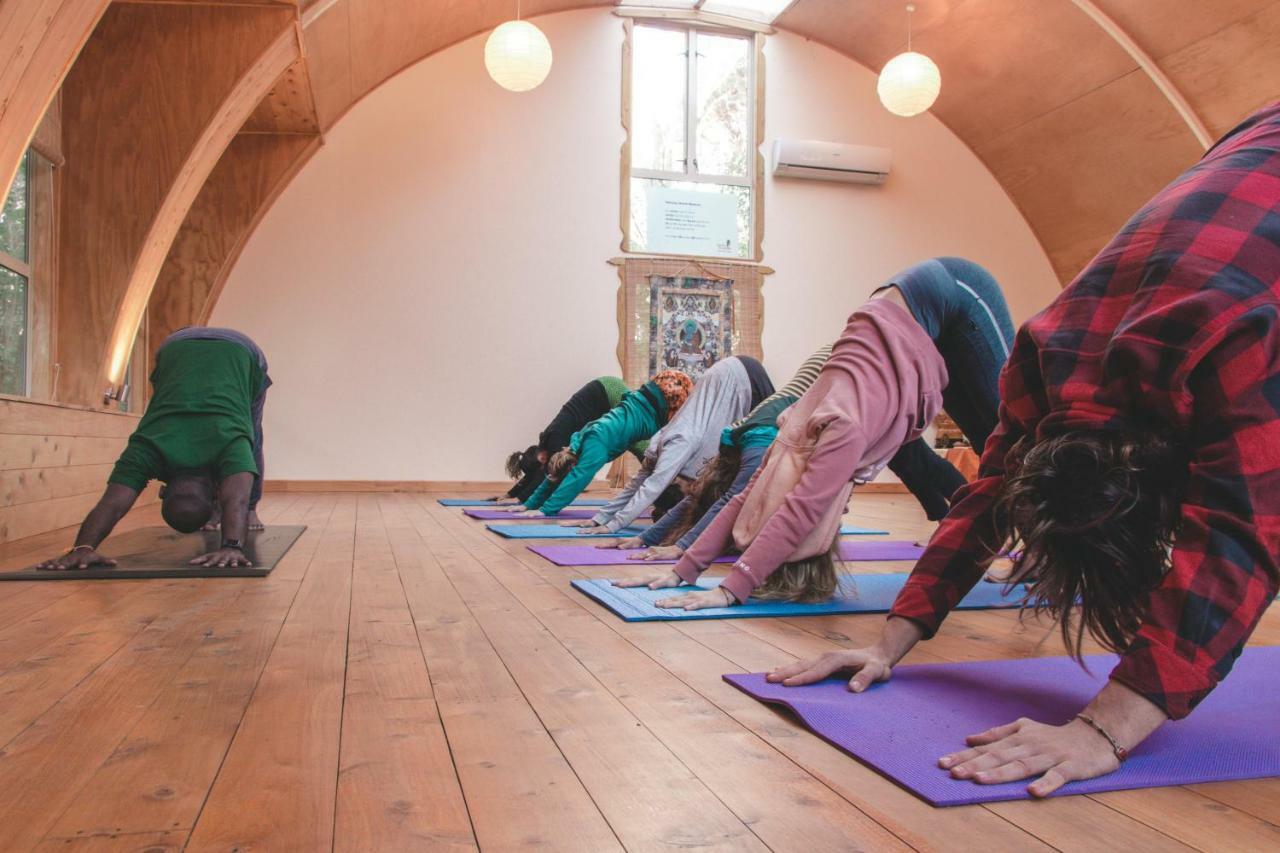 מלון אוקלנד Kawai Purapura Yoga Retreat Centre מראה חיצוני תמונה